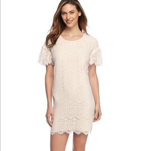The Limited Lace Flutter Sleeve Dress Size 8P